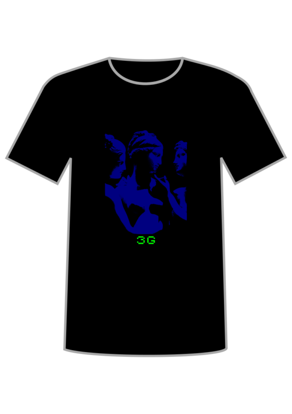 3G